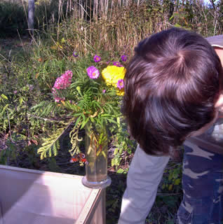 Der Blumenstrau gefllt!