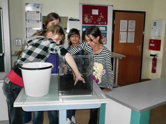 Durchmischen der Erde