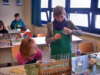 Forschungsteam 1