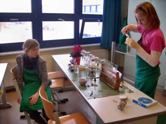 Forschungsteam 1