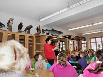 Theorie wird vermittelt