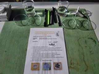 Experimentieranordnung