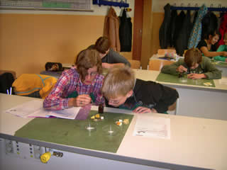 Sch&uuml;ler beim Experimentieren