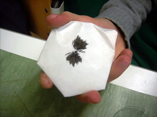 Magnetscheiden