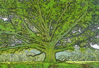 Baum