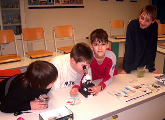 Mikroskopie der Krebschen