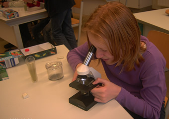 Mikroskopie der Krebschen