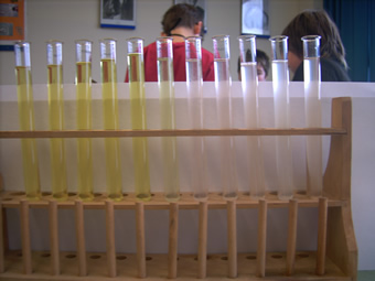 Farbreihe Alpenveilchen