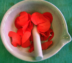 Blütenblätter im Mörser