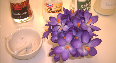 Krokus mit Mörser