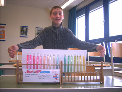 Farbreihe von Krokus