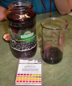 Saft schwarzer Johannisbeeren