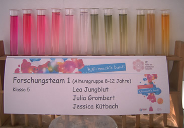 Farbreihe Alpenveilchen