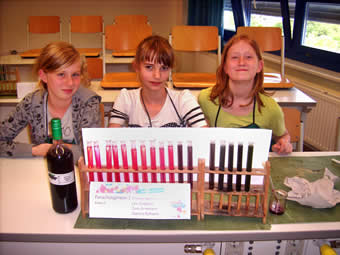 Farbreihe Saft der schwarzen Johannisbeere