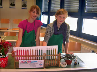 Farbreihe Usambaraveilchen