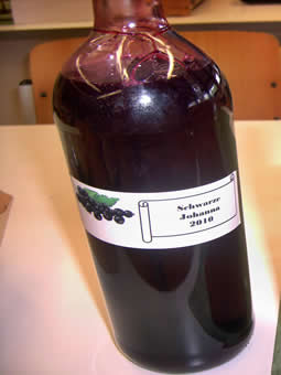 Saft schwarzer Johannisbeeren